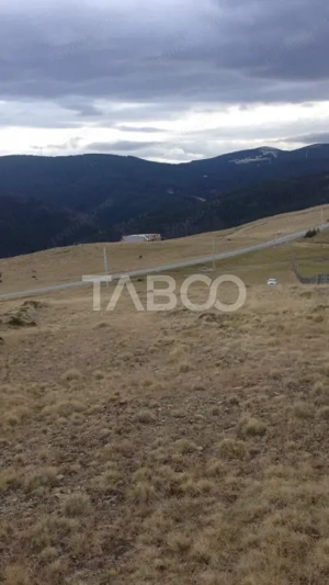 Teren extravilan de vanzare 3235 mp in Paltinis Sibiu  - imagine 3