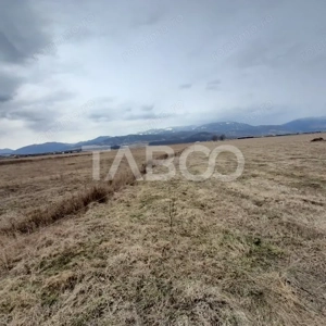 Teren intravilan 15.000 mp Front 47 m DN7 in Talmaciu zona industriala - imagine 3