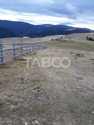 De vanzare teren extravilan 3854 mp acces auto Paltinis Sibiu - imagine 3