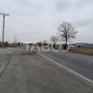 Teren intravilan 15.000 mp Front 47 m DN7 in Talmaciu zona industriala - imagine 7