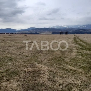 Teren intravilan 15.000 mp Front 47 m DN7 in Talmaciu zona industriala - imagine 2