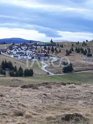 De vanzare teren extravilan 3854 mp acces auto Paltinis Sibiu - imagine 5