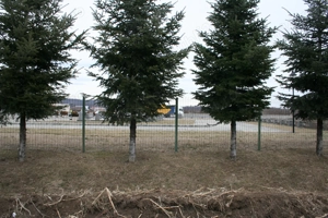 teren  de vinzare - imagine 2 teren  de vinzare - imagine 2