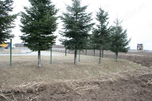 teren  de vinzare - imagine 3 teren  de vinzare - imagine 3