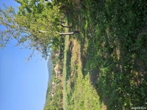 Casa la 7 km de Călimănești  - imagine 8