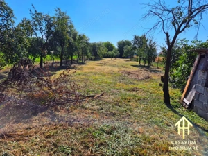 Casă cu teren generos în Lugojel, județul Timiș - imagine 4