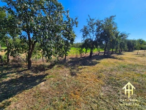 Casă cu teren generos în Lugojel, județul Timiș - imagine 3