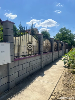 Vand Casa Livada - imagine 3