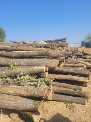 lemne de foc taiate la orice dimensiune  - imagine 2