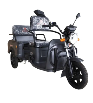 Reparatii - Service scuter electric trotineta triciclu