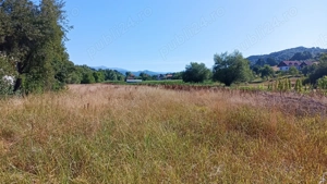 Casa caramida, 90mp, renovabila cu teren aferent 6416 mp - imagine 3