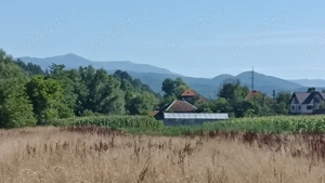 Casa caramida, 90mp, renovabila cu teren aferent 6416 mp - imagine 4