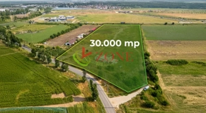 Teren Cernica,pentru Dezvoltare Rezidențială sau Industriala