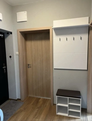 Apartament cu 1 camera in zona Sagului - imagine 3