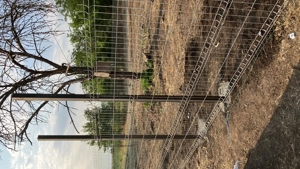 Se  vinde teren intravilan în comuna Sălcioara, județul Ialomița, ideal pentru construcția unei case - imagine 2