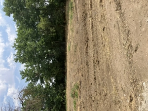 Se  vinde teren intravilan în comuna Sălcioara, județul Ialomița, ideal pentru construcția unei case - imagine 5