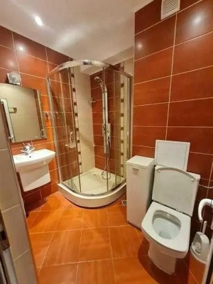 Apartament cu 1 camera in zona Sagului - imagine 3