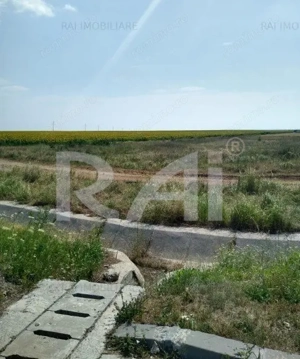 Oportunitate investitie teren,loturi-3900 euro, numai 7,9 euro/ mp - imagine 2