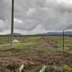 Teren livezi Ciclova-Română - imagine 2 Teren livezi Ciclova-Română - imagine 2