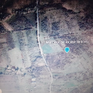 Teren livezi Ciclova-Română