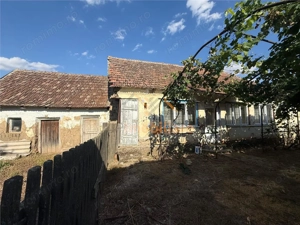 CASA CU TEREN 1500 MP | CHERESIG - imagine 4