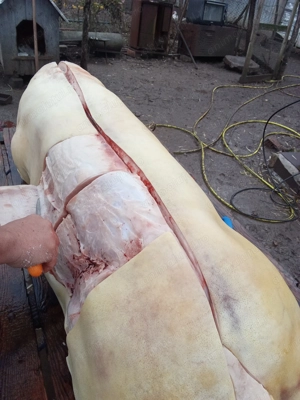 De vânzare - imagine 4