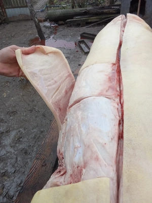 De vânzare - imagine 3