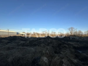 Vanzare hala Industriala cu teren intravilan de 650 mp in Ileni - imagine 2