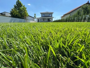 1.000 mp Teren.Vila Deosebita.COMISION 0% - imagine 4