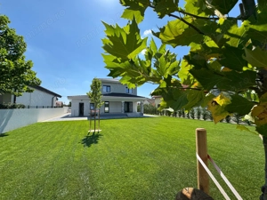 1.000 mp Teren.Vila Deosebita.COMISION 0%