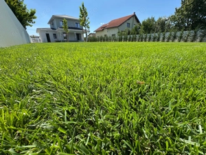 1.000 mp Teren.Vila Deosebita.COMISION 0% - imagine 5