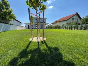 1.000 mp Teren.Vila Deosebita.COMISION 0% - imagine 2