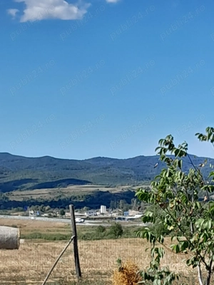 De vanzare teren in Beius - imagine 4