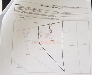 TEREN 2364 mp + CASA VECHE | CAUASD | BIHOR - imagine 4