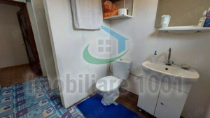 Casa D+P+M, zona Parc Municipal Regina Maria, teren 308 mp - imagine 13