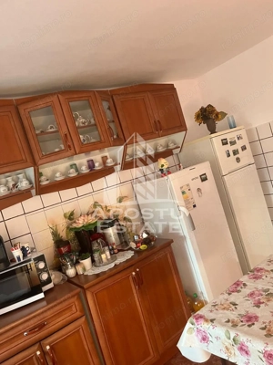 Casa individuala plus anexa, zona centrala in Faget - imagine 14