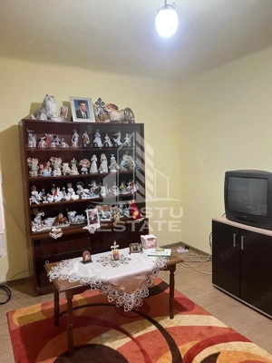 Casa individuala plus anexa, zona centrala in Faget - imagine 13