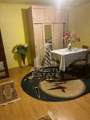 Casa individuala plus anexa, zona centrala in Faget - imagine 10