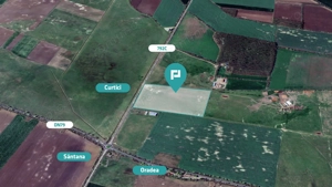 Teren intravilan 10,5 ha în com. Șimand, jud. Arad - imagine 3