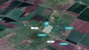 Teren intravilan 10,5 ha în com. Șimand, jud. Arad - imagine 2