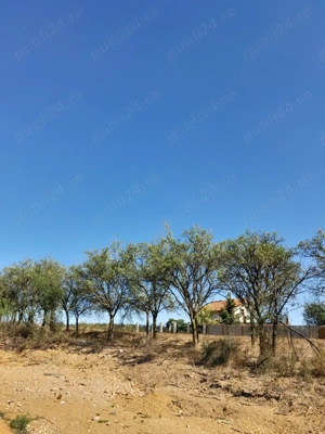 De vanzare teren in Beius - imagine 5