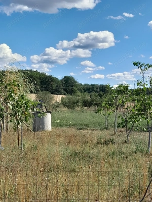 De vanzare teren in Beius - imagine 2