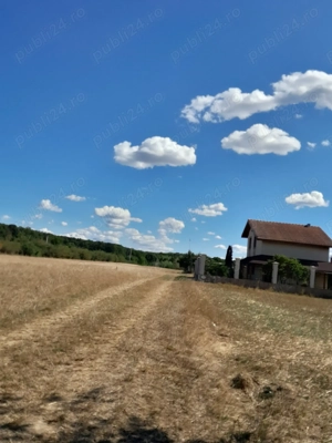 De vanzare teren in Beius - imagine 7