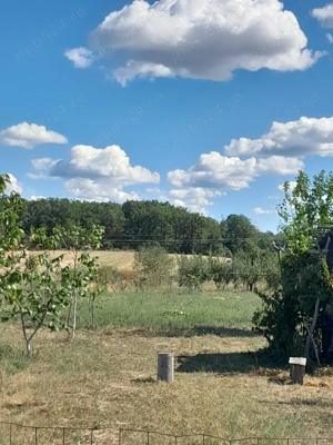 De vanzare teren in Beius - imagine 6