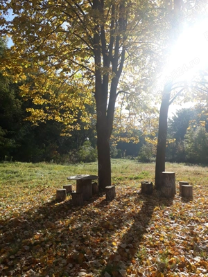 Cabana de lemn Racoasa, judet Vrancea - imagine 4