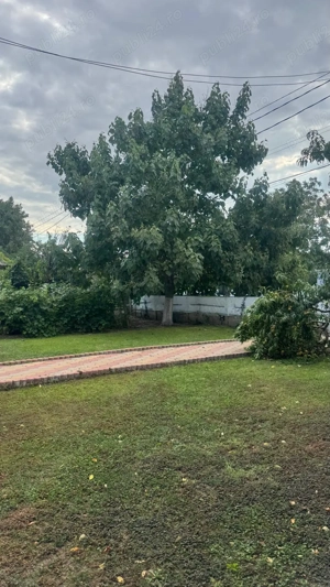 Casă cu pod mansardabil, 20 km de Delta Dunării - imagine 9