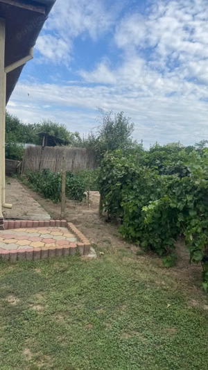 Casă cu pod mansardabil, 20 km de Delta Dunării - imagine 10