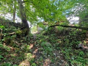 Casa de vanzare Sohodol- Tismana - imagine 6