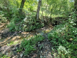 Casa de vanzare Sohodol- Tismana - imagine 8