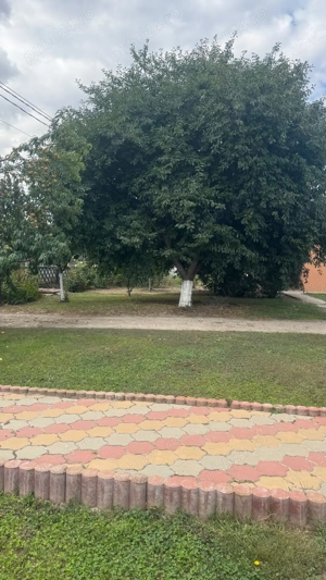 Casă cu pod mansardabil, 20 km de Delta Dunării - imagine 8